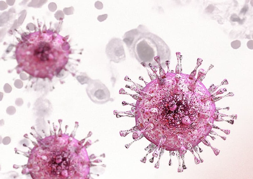 Citomegalovirus