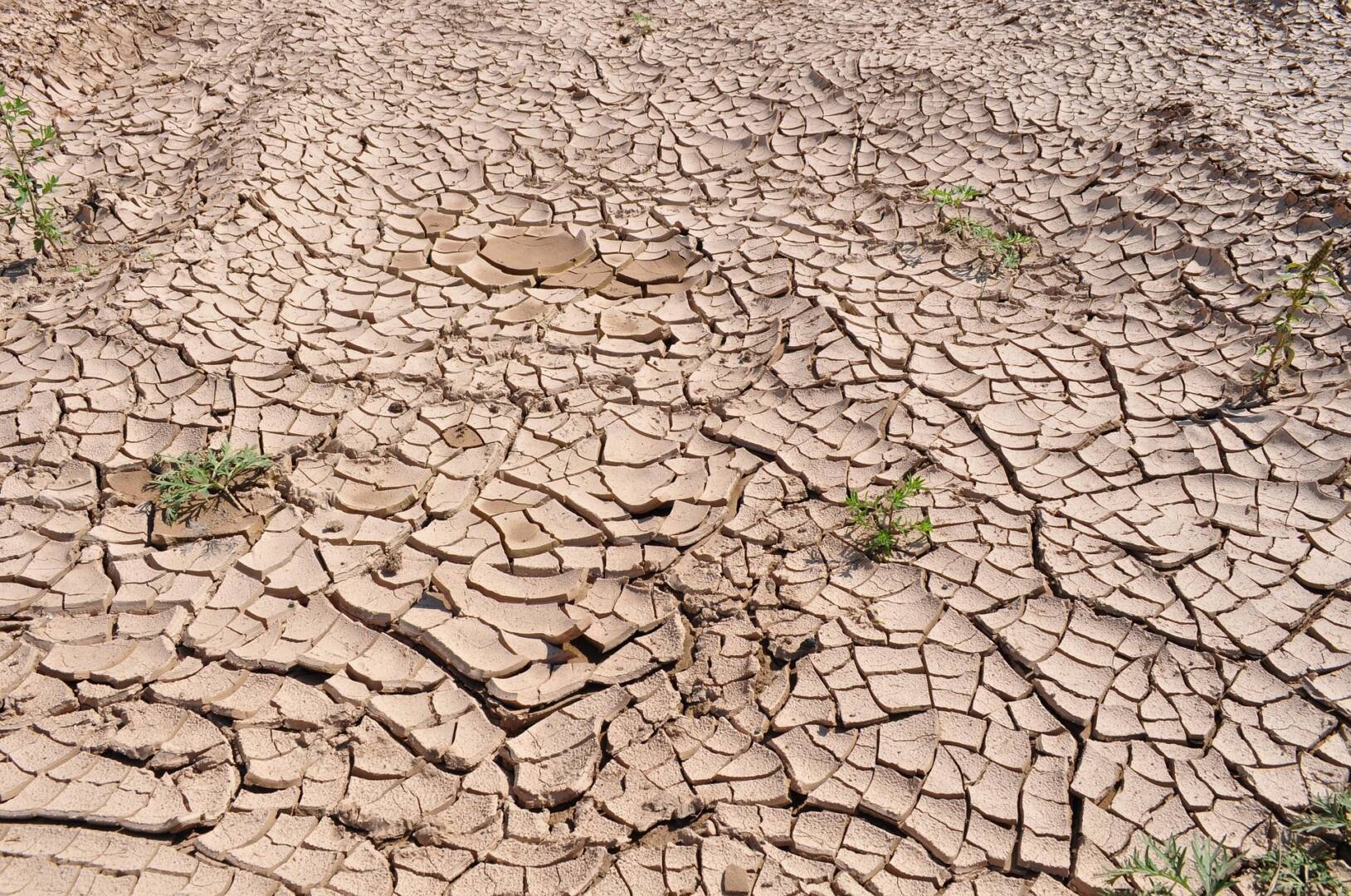 drought-19478_1920