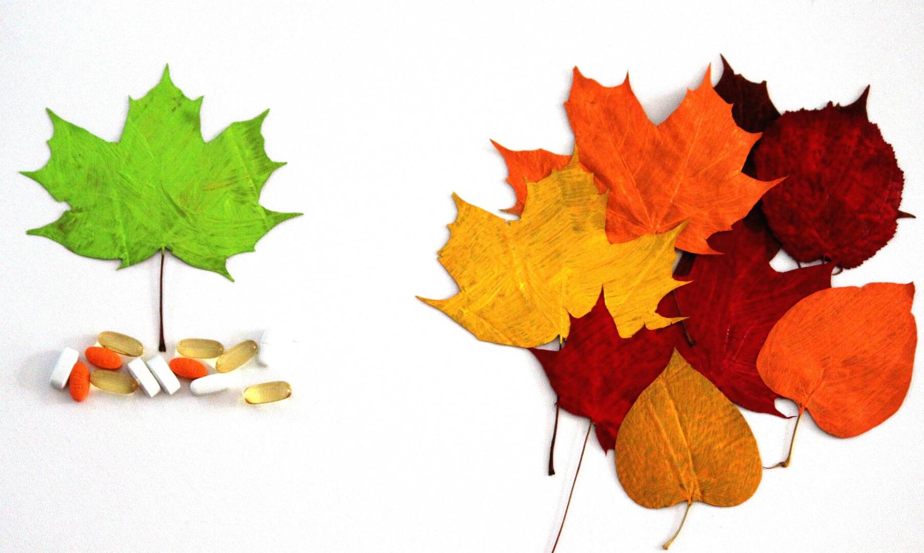 leaves-1875038_1920