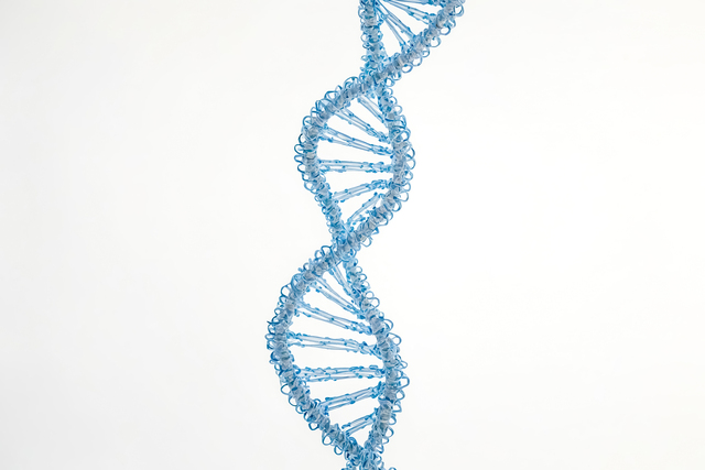 small-vecteezy_blue-dna-helix-model-on-white-background_48157993_small