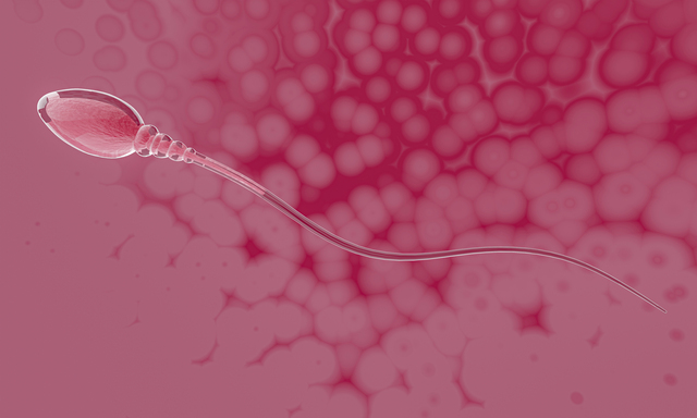 close up simulates sperm for human reproduction Its head is slen
