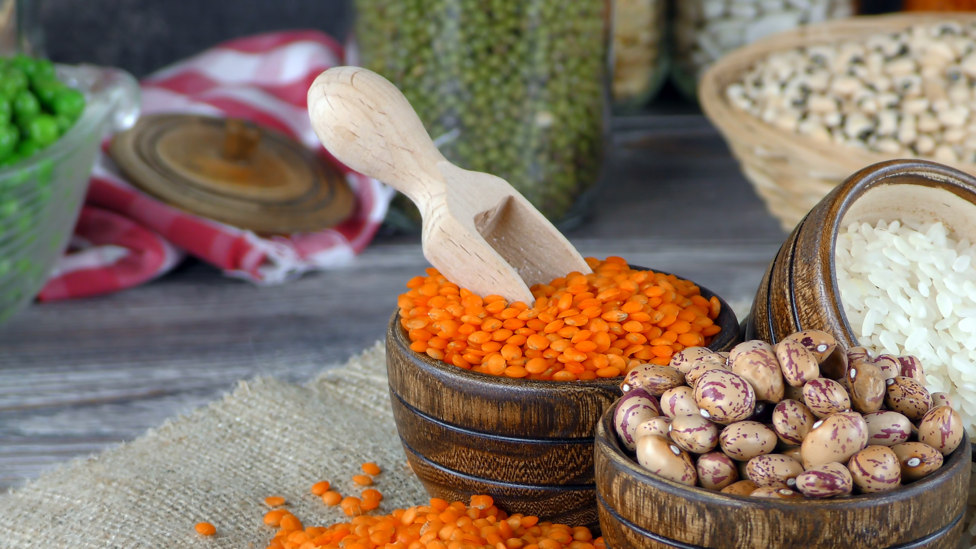 Healthy Vegetarian Raw Food Legumes
